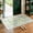 Cream, variant on SORONO KATE 5'x7' Floral Area Rugs for Living Room, Machine Washable Oriental Vintage Distressed Non Slip Soft Indoor Area Carpet, Black/Green