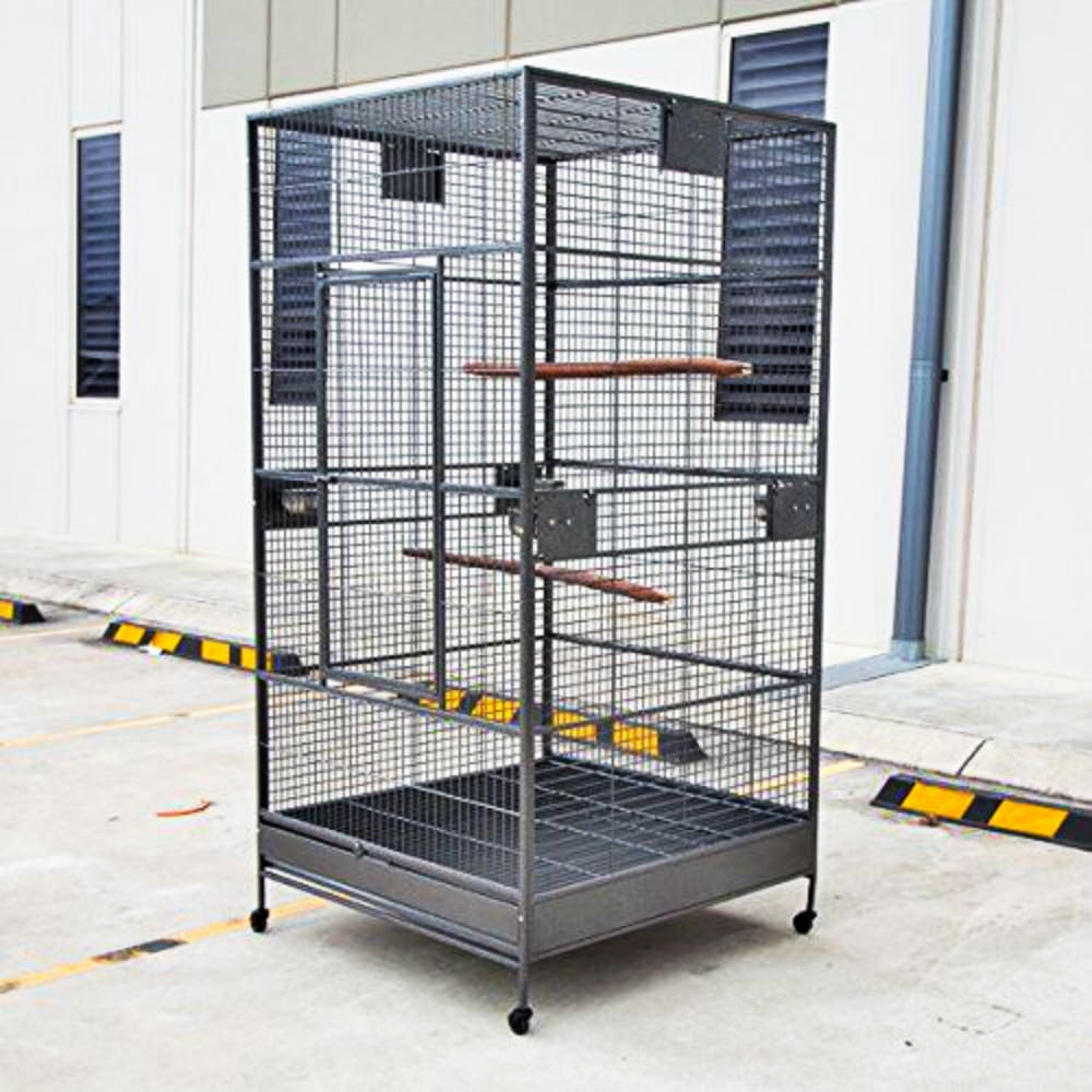 aviary supplies near me