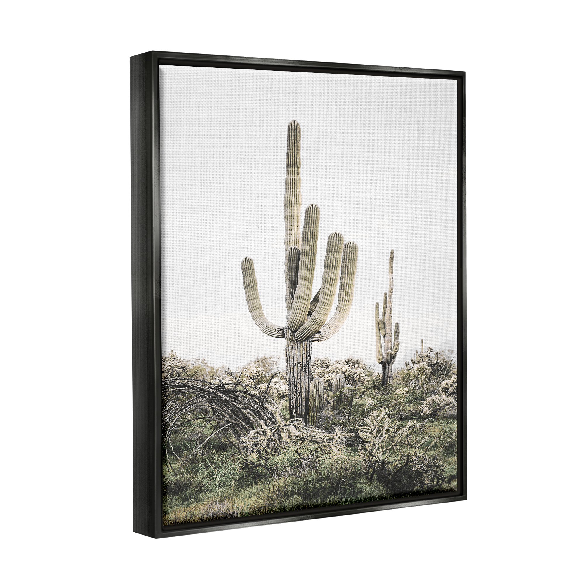 Stupell Industries Desert Landscape Cacti Botanical & Floral Photography Black Floater Framed Art Print Wall Art, 25 x 31