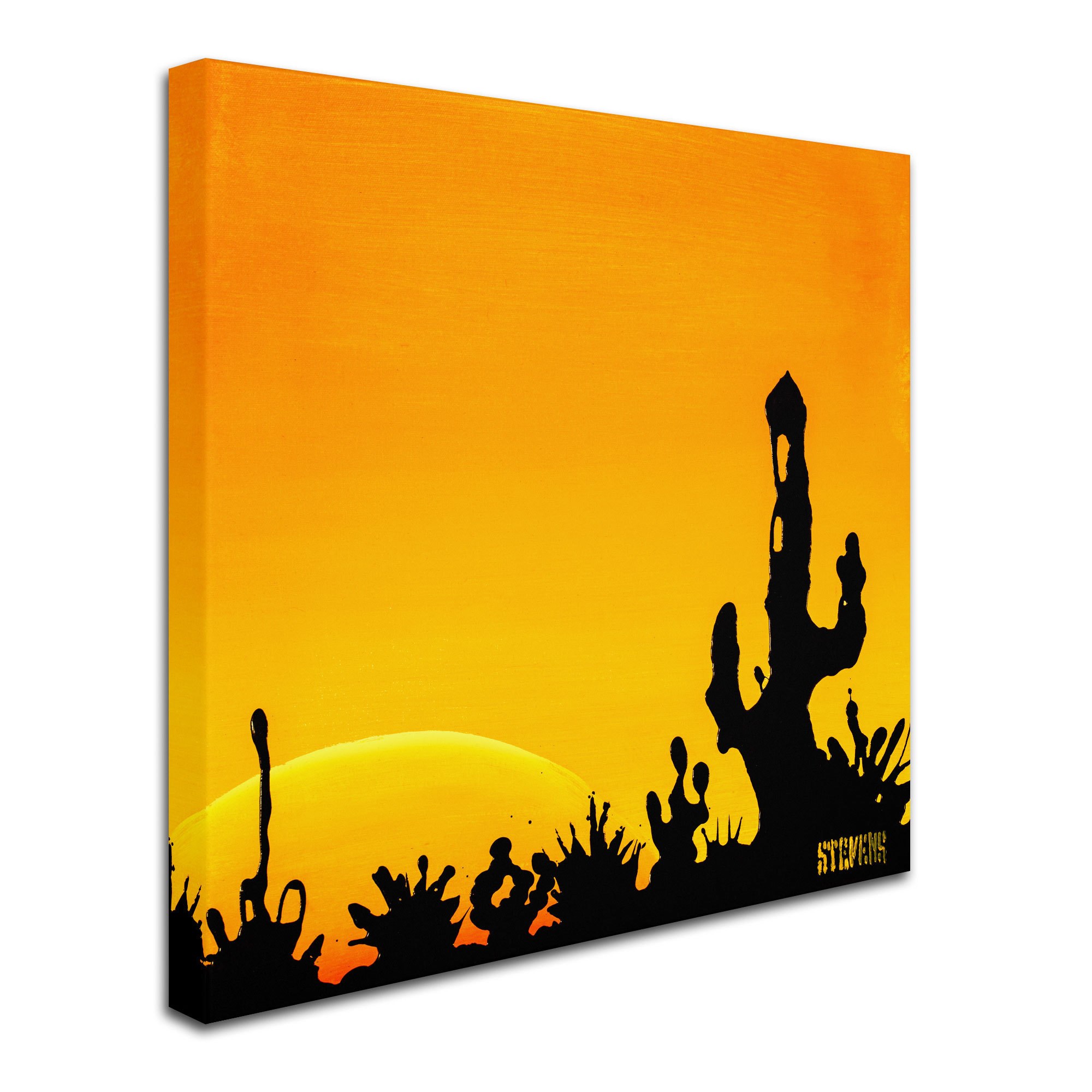 Trademark Fine Art "Saguaro Sunset" Canvas Art by Roderick Stevens