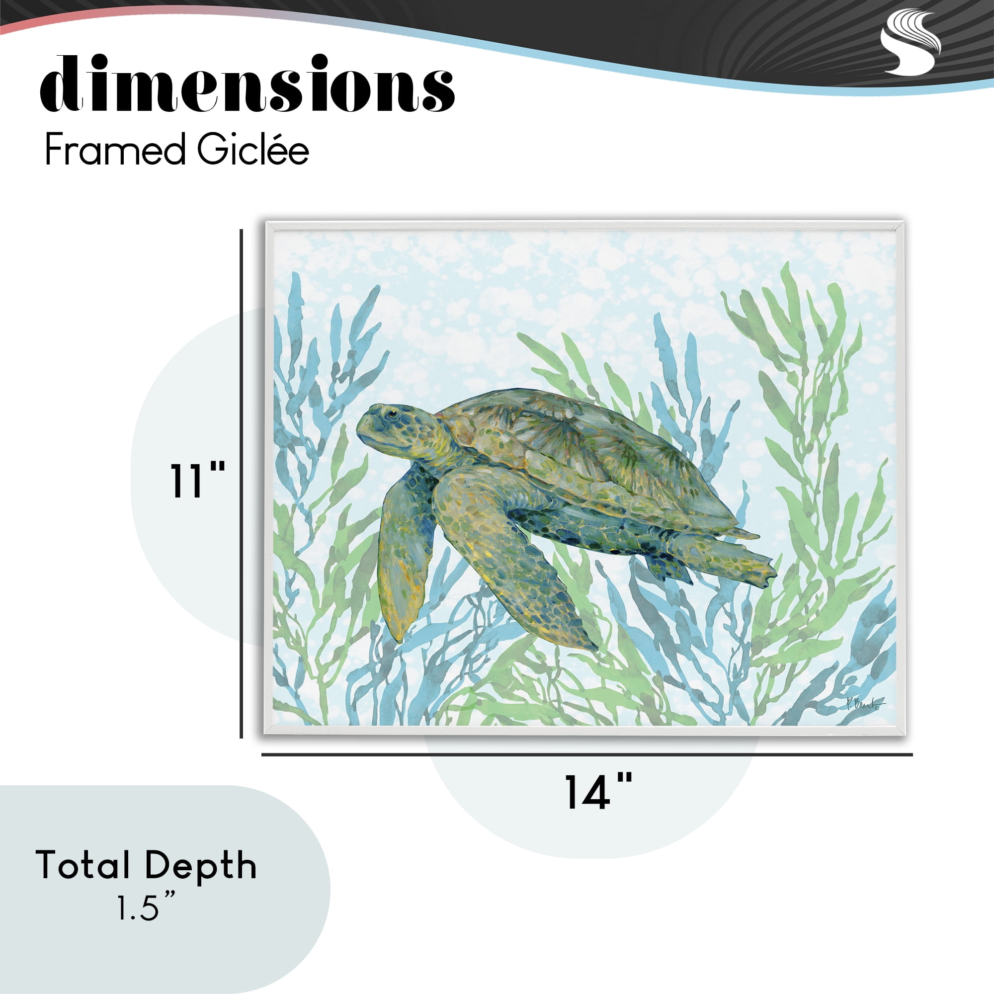Stupell Industries Tasman Turtle in Seagrass White Framed Giclee Art, design by Paul Brent