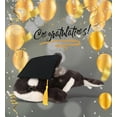 thumbnail image 7 of DolliBu Large Wild Killer Whale Graduation Plush Toy - Super Soft Killer Whale Graduation Stuffed Animal Dress Up with Graduation Cap with Tassel - Reward Celebration Grad Gift - 15.5 Inch, 7 of 7