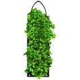 thumbnail image 2 of Organic Basil Hanging Seed Bag with Soil Block, 2 of 2