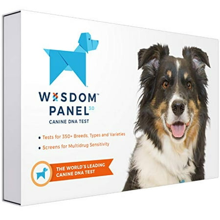 Wisdom Panel 3.0 Canine DNA Test - Dog DNA Test Kit for Breed and Ancestry Information