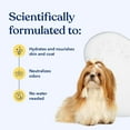 thumbnail image 2 of Honest Paws Dog Dry Shampoo - Waterless No Rinse Foaming Formula - 6.3 oz, 2 of 9