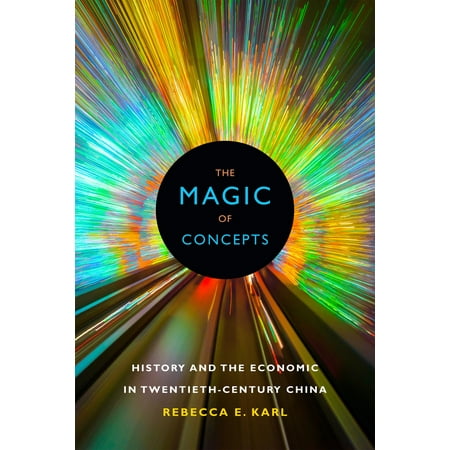 The Magic of Concepts : History and the Economic in Twentieth-Century