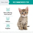 thumbnail image 2 of Chew + Heal Cat and Dog Dewormer - 4 oz - Wormer Liquid to Paralyze and Expel Roundworms - Kitten and Puppy Dewormer, 2 of 9
