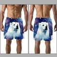 thumbnail image 3 of luoweisi Men's Beach Shorts Quick Dry Swim Trunks with Mesh Lining Galaxy Polar Bear 2XL, 3 of 5