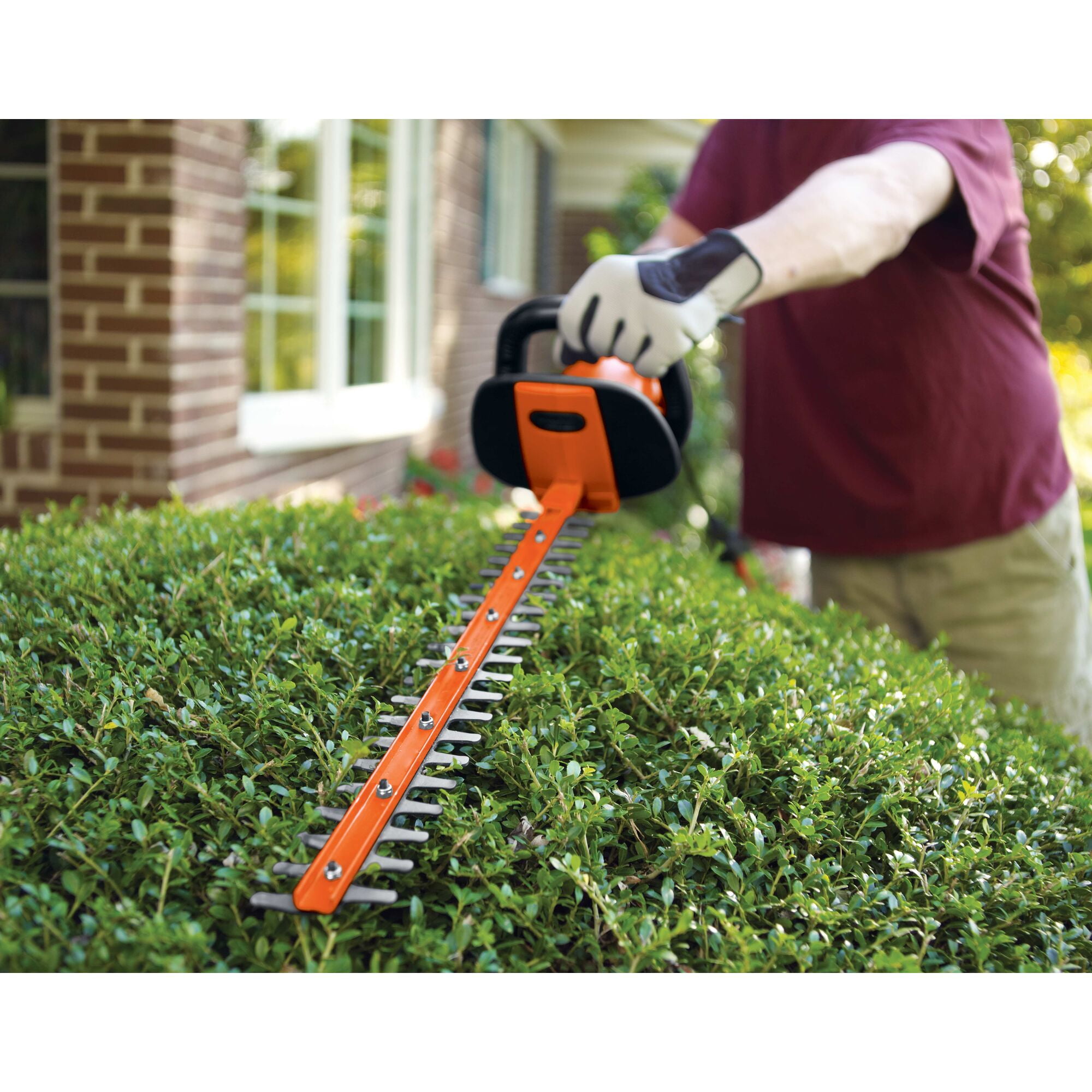 Black & Decker HH2455 24-inch HedgeHog Dual-action Blade Hedge Trimmer