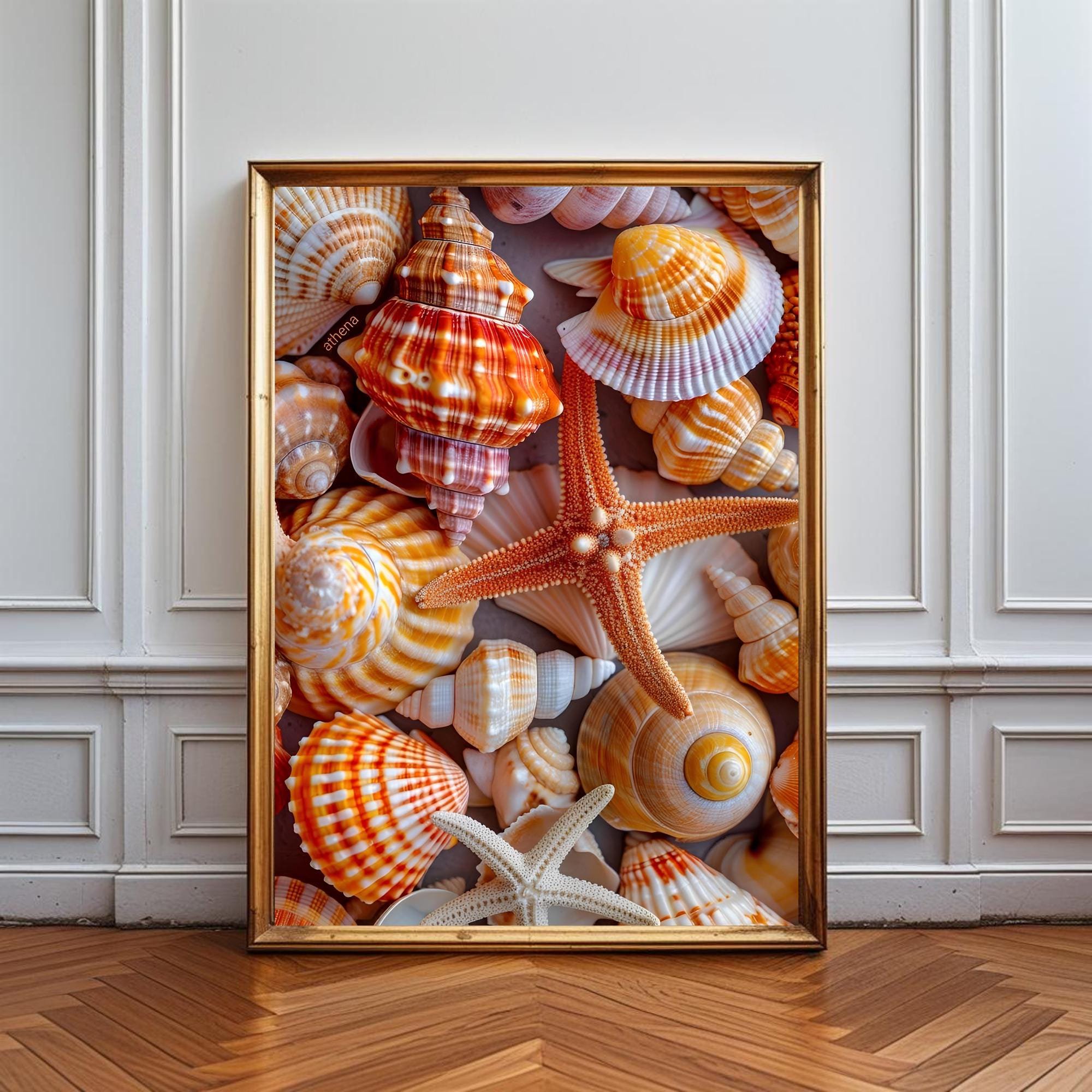 Seashell Poster Print Coastal Wall Art Beach Decor Aesthetic Starfish Ocean Photography Nautical Summer Vibes for Living Room Poster Only