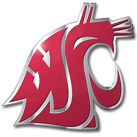 Washington State Color Auto Emblem - Walmart.com