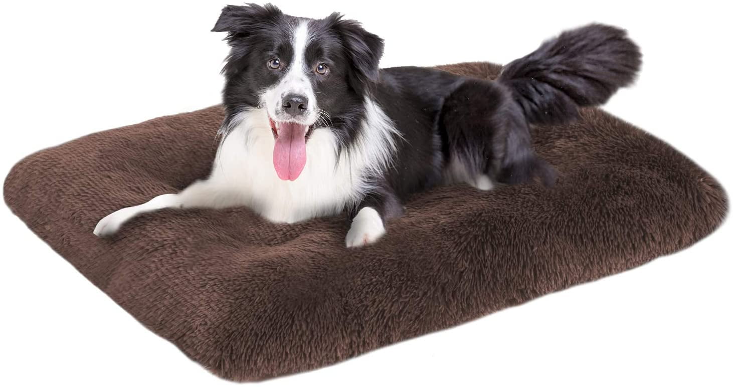 non destructible dog bed