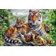 thumbnail image 1 of New 5D Diamond Art Kit - tiger Family 30 * 40 - DIY Crystals Diamond Kits Cross Stitch Embroidery, 1 of 4