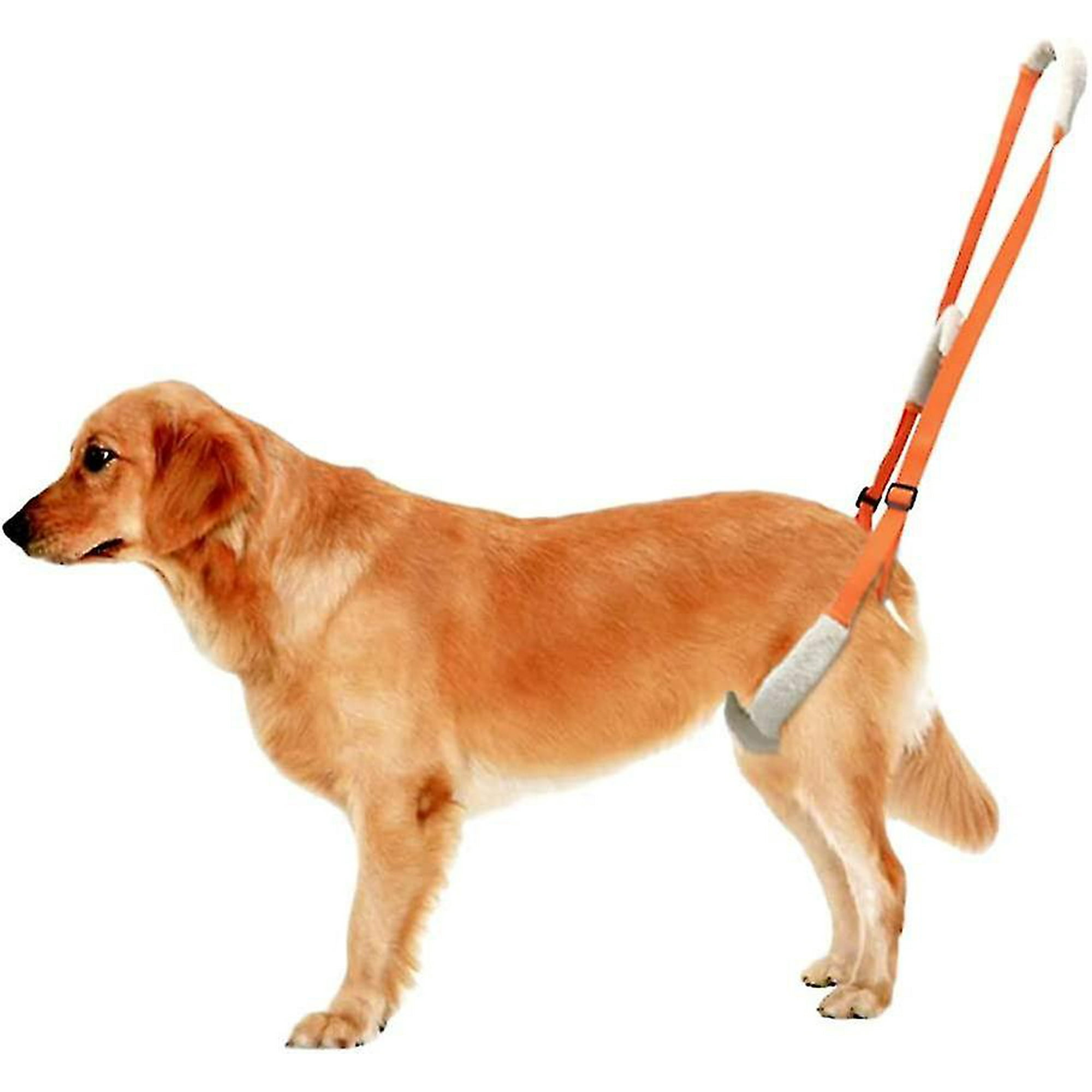 Dog support harness for rear legs hotsell