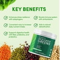 thumbnail image 6 of Designer Wellness, Designer Greens, Superfood Powder with Prebiotics, Probiotics, Antioxidants, and Detox Support, 30 Servings, 6 of 9