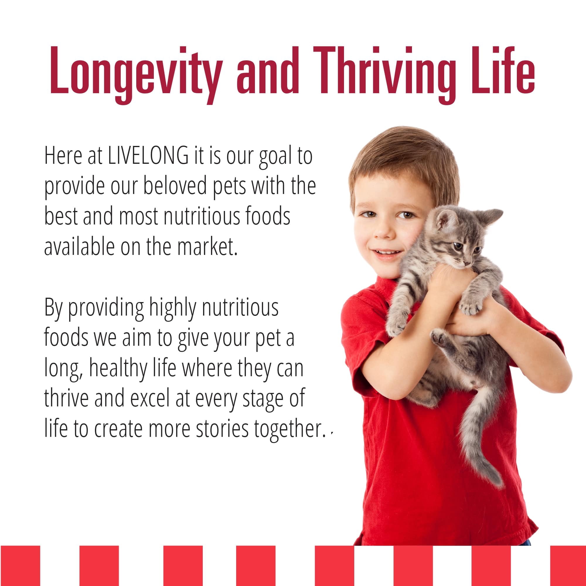 Livelong Healthy & Strong: 24 Pack: Yummy Meats - 5.5oz Cans, Wet Cat Food, High-Quality Meat, High Protein, All Natural, No Preservatives,