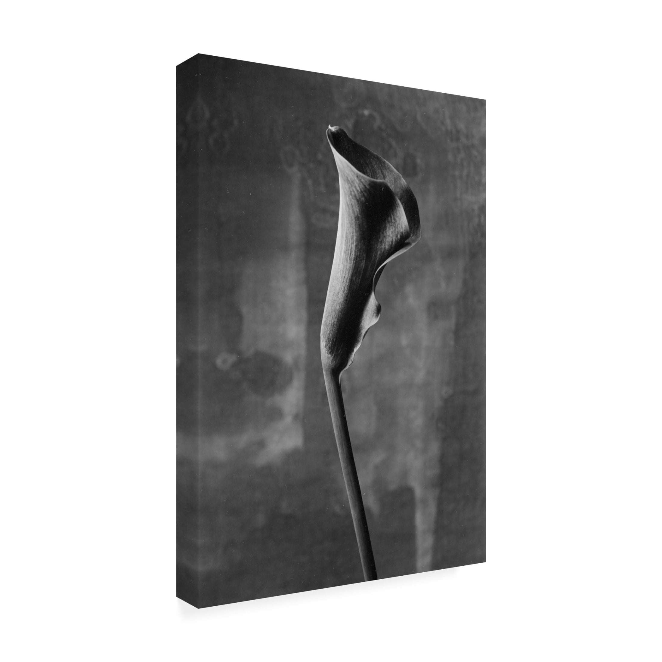 Trademark Fine Art Kenji Mori Flower 3 Canvas Wall Art