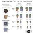 thumbnail image 3 of 3rd Street Inn 7", 11", 15" Artificial Cypress Topiary Balls - Assortment, 3 of 4