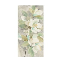 Trademark Fine Art 'Pale Magnolia' Canvas Art by Albena Hristova