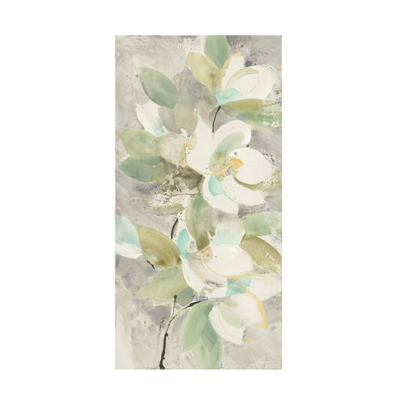 Trademark Fine Art 'Pale Magnolia' Canvas Art by Albena Hristova