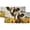 Pattern-4, variant on Cow Curtain Valances Funny Western Farmhouse Animal Wildlife Window Treatment Valance Curtains for Bathroom 54 by 18 in, 2 Panel