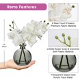 thumbnail image 2 of Flores artificiales Oairse de orquídeas blancas con jarrón de vidrio negro, 2 of 7