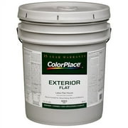 ColorPlace Exterior Flat Paint, White