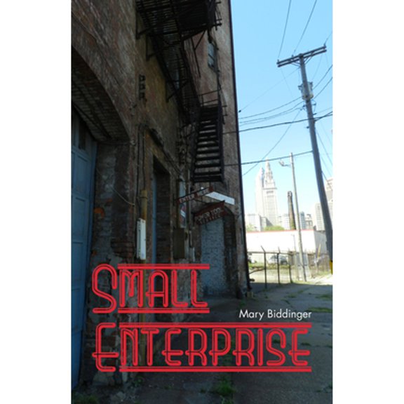 Pre-Owned Small Enterprise (Paperback) 162557925X 9781625579256