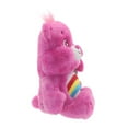 thumbnail image 2 of Care Bears Cheer Bear Plush, 2 of 6