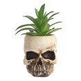 thumbnail image 1 of Skull Plant Pot Human Skull Artificial Craft Planter Supplies, 1 of 7