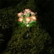 thumbnail image 3 of Toystoory Luces de flores con energía solar Luces decorativas para césped al aire libre Patio Jardín Luz de piso al aire libre Iluminación y accesorios Rosa roja, 3 of 6