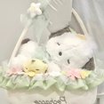 thumbnail image 3 of Dibujos animados Sanrioed Animation Cinnamoroll Hello Kittys Peluche Juguete Ins Girly Heart Kawaii Canasta de flores Muñeca durmiente Regalos de vacaciones, 3 of 4