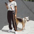thumbnail image 3 of Dog Leash Hands Free Dogs Leash Reflective Leashes for Dog Walking Running Rope, 3 of 5
