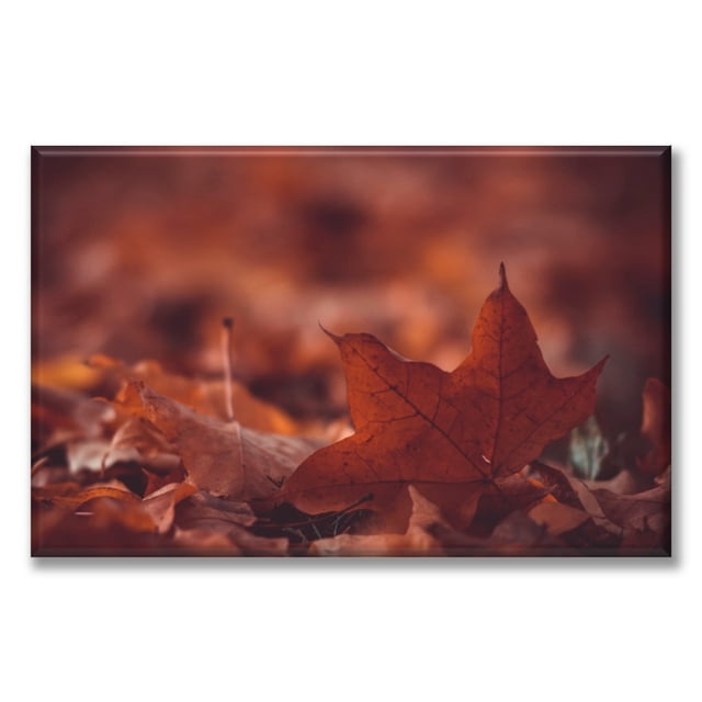 Cuadro Canva Listo Para Colgar Tipo Galería Hojas Secas 50X75 cm