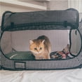 Necoichi PopUp Cat Carrier, Portable & LightWeight, 31"x20"x20