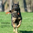 thumbnail image 3 of Dog Flirt Pole Toy, Muscle Exercise Interesting 52in Expanded Length Walking Guidance Dog Extendable Teaser Wand  for Training for Outdoor, 3 of 7