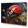 thumbnail image 2 of Designart "The Serene Curiosity Of A Crimson Ladybug III" Ladybug Canvas Art Print, 2 of 7