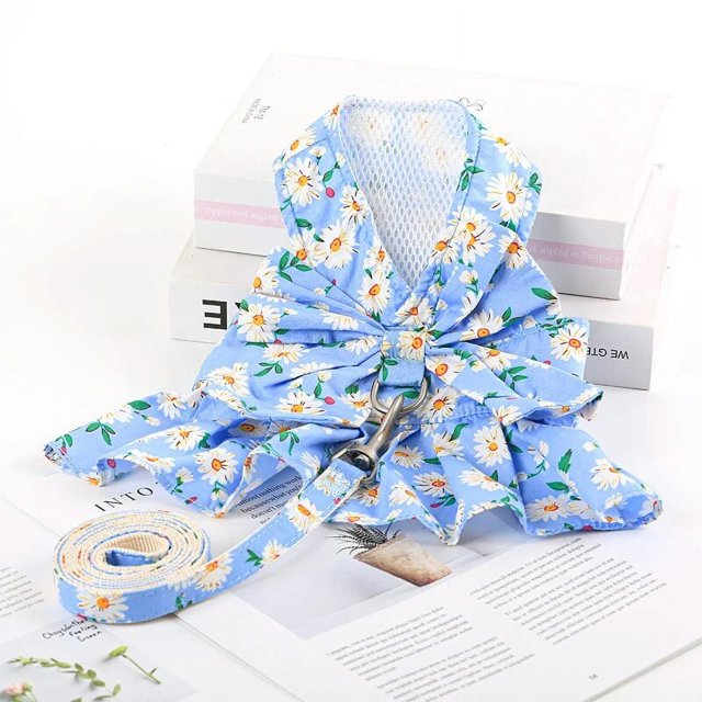 Dog Dress and Leash Set Cute Bowknot Teddy Bichon Cat Harness Vest Spring and Summer Dog Clothes Outdoor Pet Accessoires ShopWise Round