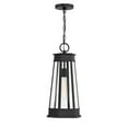 thumbnail image 3 of Savoy House - 5-208-BK - Payne 1-Light Outdoor Hanging Lantern in Matte Black, 3 of 5