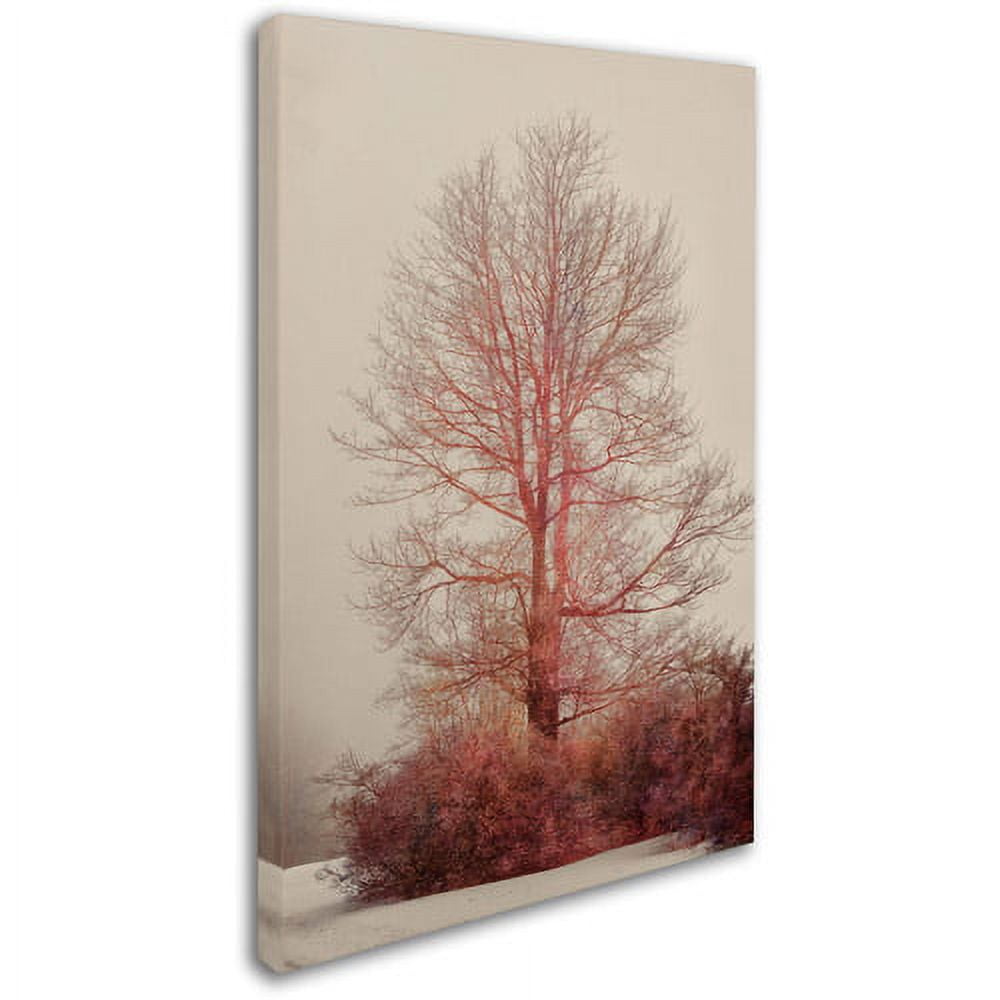 Trademark Fine Art "A-Blush in the Fog" Canvas Art by Lois Bryan