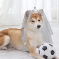 thumbnail image 3 of KAKOWELY Corona para mascota, velo de novia, velo de novia, decoración para el pelo de mascota, adorno de boda para mascota, 3 of 5
