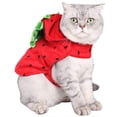 thumbnail image 1 of Disfraz de gato fresa ANIAC para gatos y perros pequeños, 1 of 5
