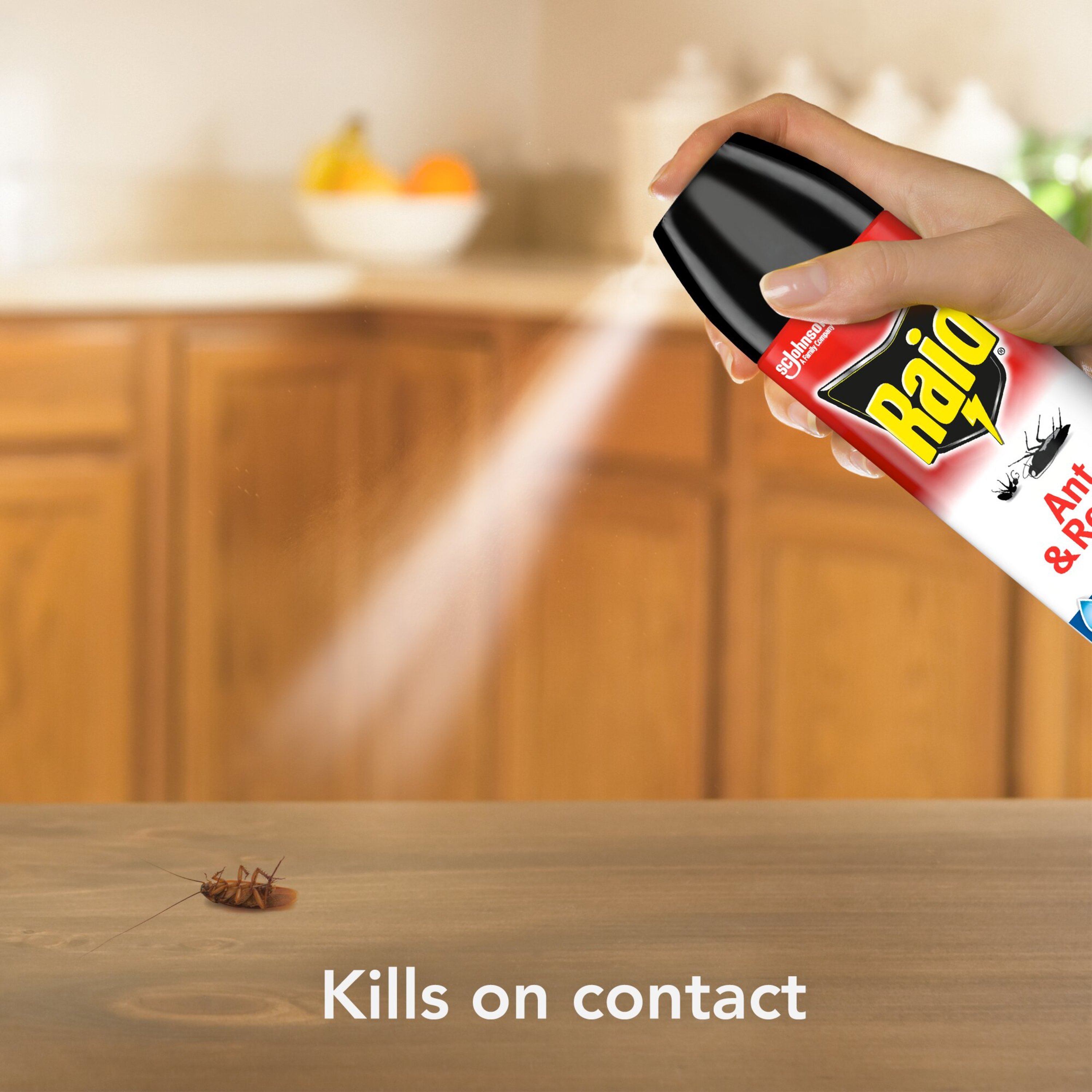 Raid® Ant & Roach Aerosol Bug Spray, Water-Based, Non-Greasy Insecticide, 17.5 fl oz - image 3 of 14