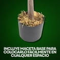 thumbnail image 3 of Blackbox Árbol de Olivo Artificial 130 CM Premium con Aceitunas Decorativas, Tronco de Apariencia Natural, Decoración para Sala, Oficina y Hogar, 3 of 6