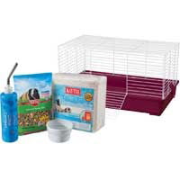 Kaytee Complete Guinea Pig Kit (Best Guinea Pig Cage For 2)