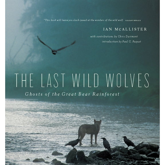 The Last Wild Wolves (Paperback)