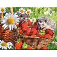thumbnail image 1 of 30 X 40 Cm, hrisson Diamond Painting Broderie Diamant Peinture Canevas 5d Tableau Enfant Adulte Strass Lot Puzzle Dessin Decoración Murale Chambre, 1 of 5