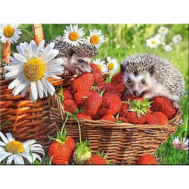 30 X 40 Cm, hrisson Diamond Painting Broderie Diamant Peinture Canevas 5d Tableau Enfant Adulte Strass Lot Puzzle Dessin Decoración Murale Chambre