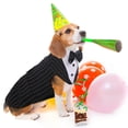 thumbnail image 4 of Conjunto de esmoquin para perro PUMYPOREITY, pajarita a rayas, formal, L, 4 of 7