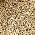thumbnail image 5 of Organic Einkorn Grain Seeds Husk On - 4 Oz ~2800 Seeds - Low Gluten Ancient Wheat Species - Heirloom, Non-GMO - Grow Grain, Wheatgrass, Grind for Flour, More., 5 of 6